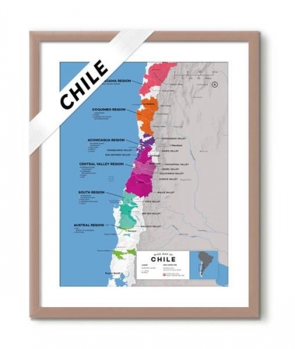 Tìm hiểu về Rượu vang Chile