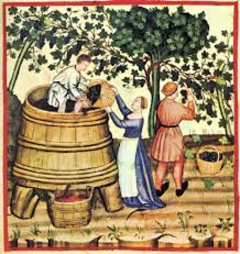 Lịch sử rượu vang - Những dấu vết đầu tiên