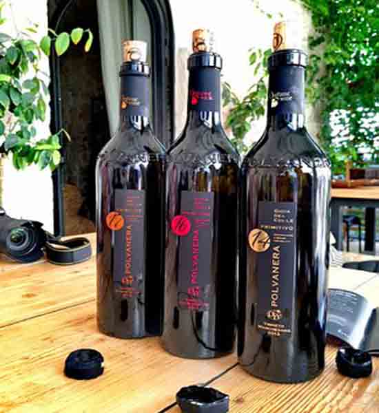 Rượu vang - Cantina Polvanera 17 Primitivo - Rượu vang Ý - 1