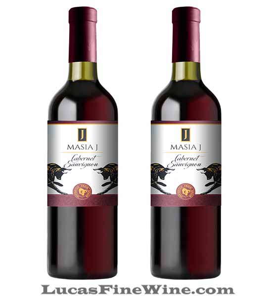 Rượu vang - Masia J Cabernet Sauvignon - Rượu vang Tây Ban Nha - 1