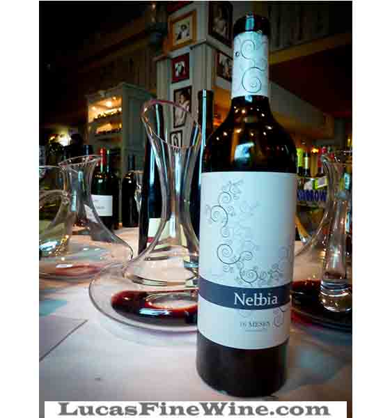 Rượu vang - Nebbia 16 Meses - Rượu vang Tây Ban Nha - 1