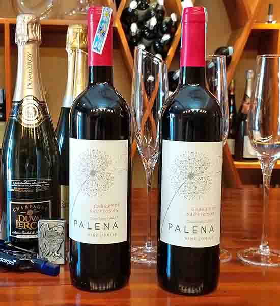 Rượu vang - Rượu vang Chile Palena Cabernet Sauvignon - 2