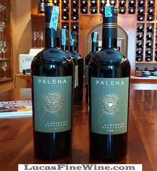 Rượu vang - Rượu vang Chile Palena Reserva - 1